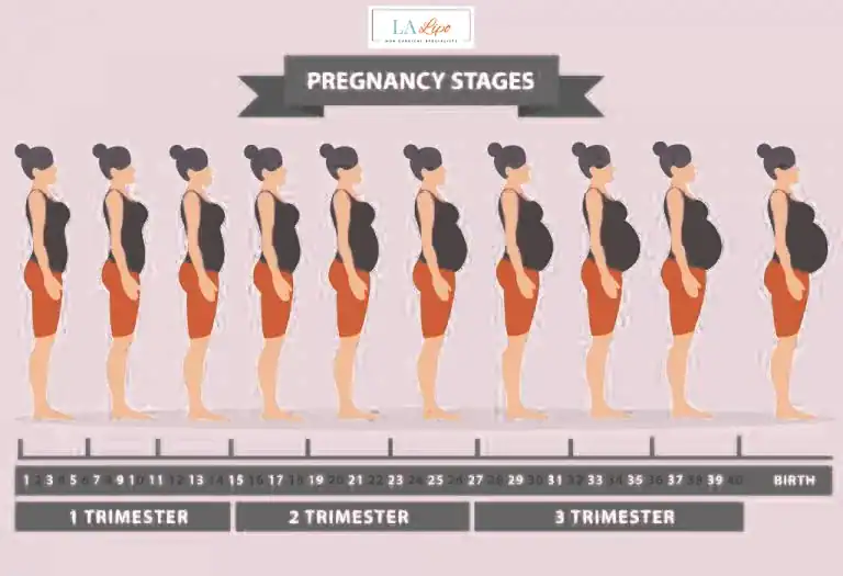 First Trimester (Weeks 1–12): Early Changes You Might Not Notice Manchester